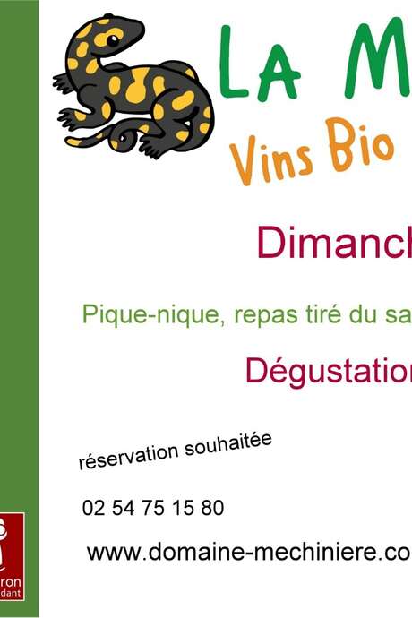 Pique-nique et dégustation de vins bio au domaine de la Méchinière