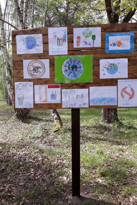 Découvertes Sologne Nature - "Dessine-moi la nature" à Pruniers-en-Sologne