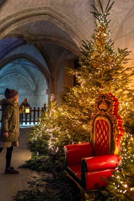 Noël au Pays des Châteaux : Le Noël royal des animaux !