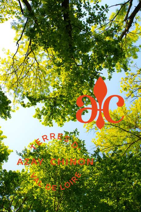 Soirées pique-nique en musique au Château de l'Islette