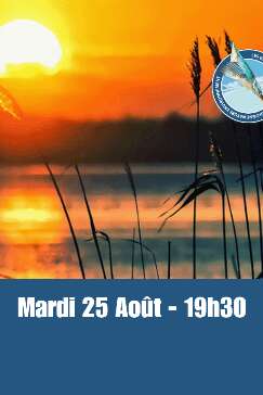 Estivales - Mardis soir au bord de l'eau - Châtres-sur-Cher