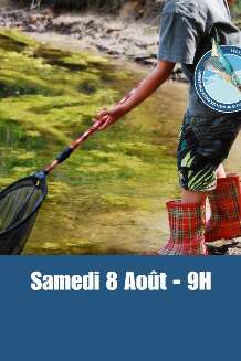 Estivales de l'eau - De l'eau'tre côté du miroir, les bêtes fantastiques