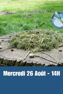 Estivales de l'eau - Land'art au bord de l'eau !