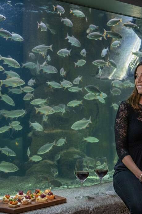 Saint Valentin à l'Aquarium de Touraine