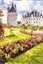 Visites ludiques - jeune public