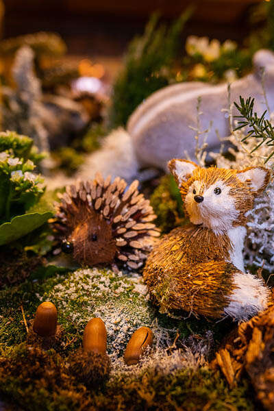 A Noël la nature s'invite au château !