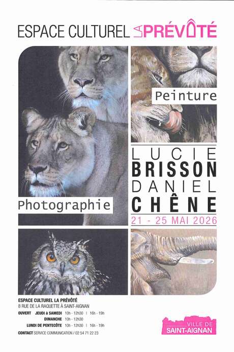 Exposition Lucie Brisson Daniel Chêne
