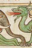 CONFÉRENCE "REPRÉSENTER LE DRAGON AU MOYEN AGE. TEXTES, IMAGES, SYMBOLIQUE"