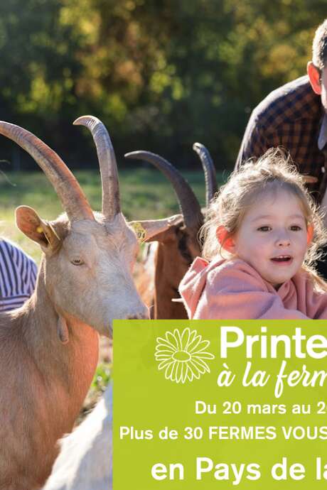 PRINTEMPS À LA FERME EN MAYENNE