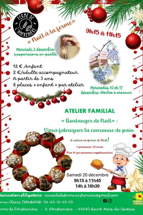 LES MERCREDIS A LA FERME ATELIER ÉTOILE A OISEAUX POUR NOËL