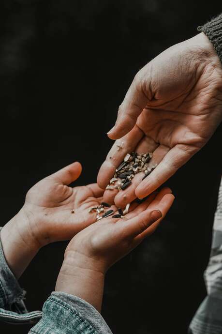 LES MERCREDIS A LA FERME