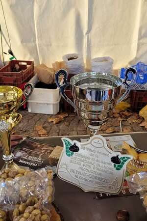 Fête de la Châtaigne et du marron