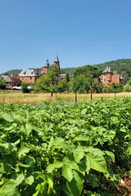Visite du Potager au Maraîcher