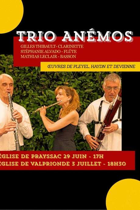 Trio Anémos en concert