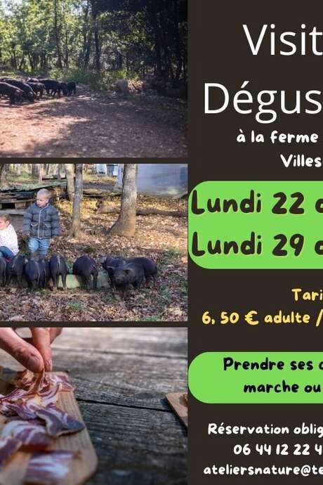 La Ferme du Tessou vous ouvre ses portes !