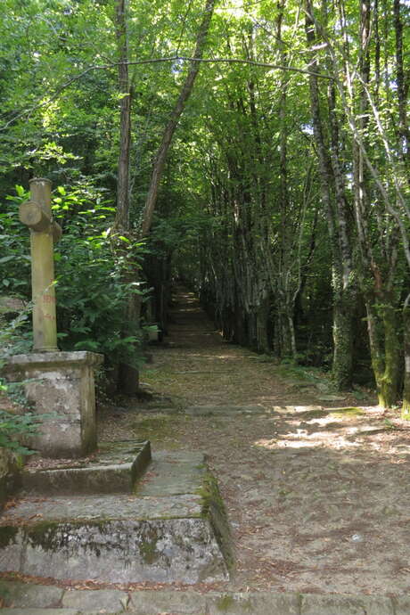Balades secrètes en Corrèze - découverte de la Tourbière de la Bissière