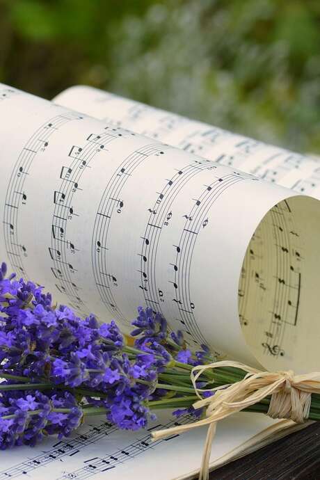 Choeur de polyphonies franco-flamandes