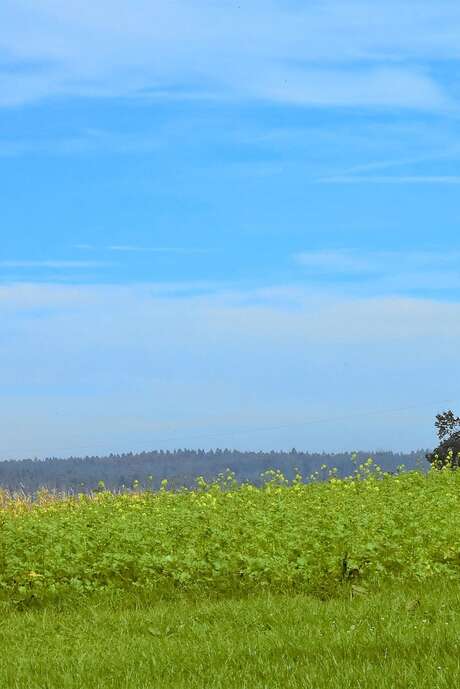Randonnée cheval avec l'ARET