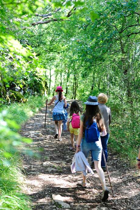 Marcher et courir contre le cancer