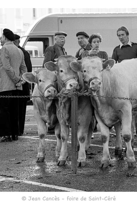 Exposition "les foires de Gramat"