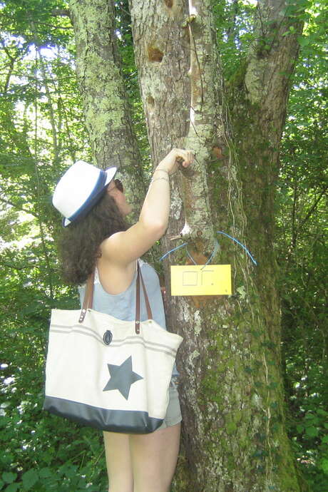 Chasse aux trésors "le Trésor du marais"