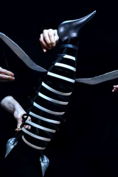 Spectacle jeune public à Figeac : Le complexe du pingouin