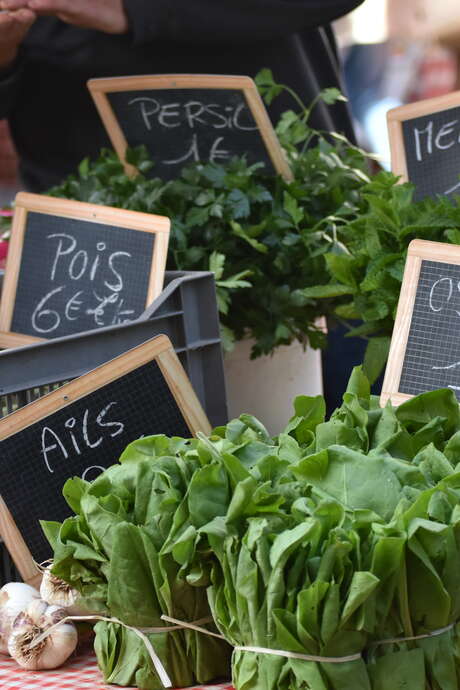 Marché Nocturne de Producteurs à Puy-l'Evêque