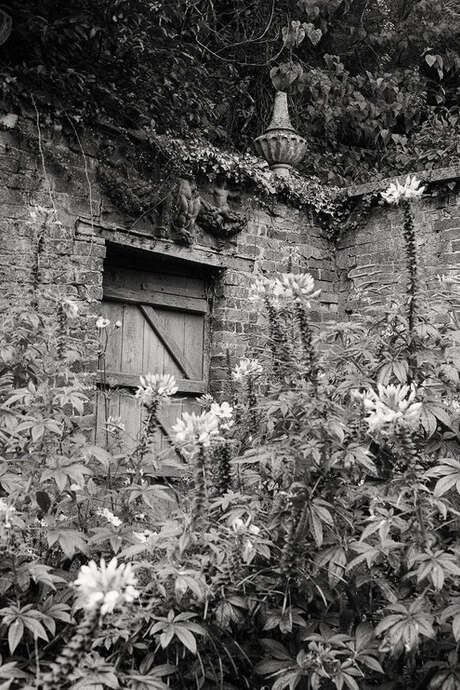 Exposition photographique "Secret Gardens" chez Livres Books & Co