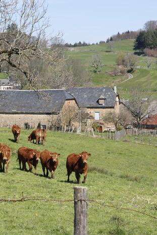 Circuit : à la découverte du patrimoine agricole de Saint-Hilaire-Taurieux