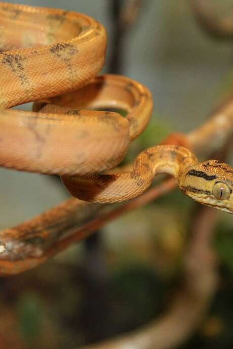 Jeu de piste au Padiparc