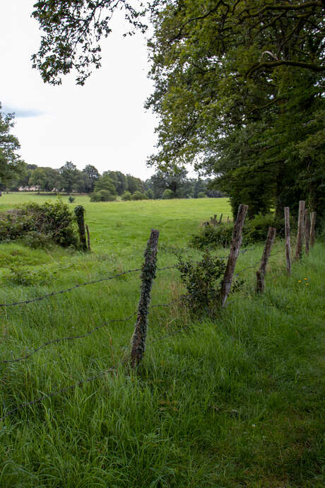 Randonnée avec Pique et Pousse en Quercy Blanc