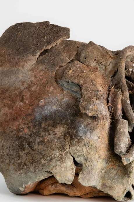 Exposition - Bring on that beat
