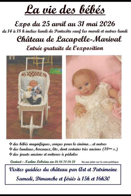 Exposition de Printemps au Château de Lacapelle-Marival : la vie des bébés
