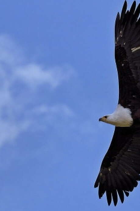 A la recherche es aigles de la vallée, à la réserve départementale de biodiversité d'Argentat