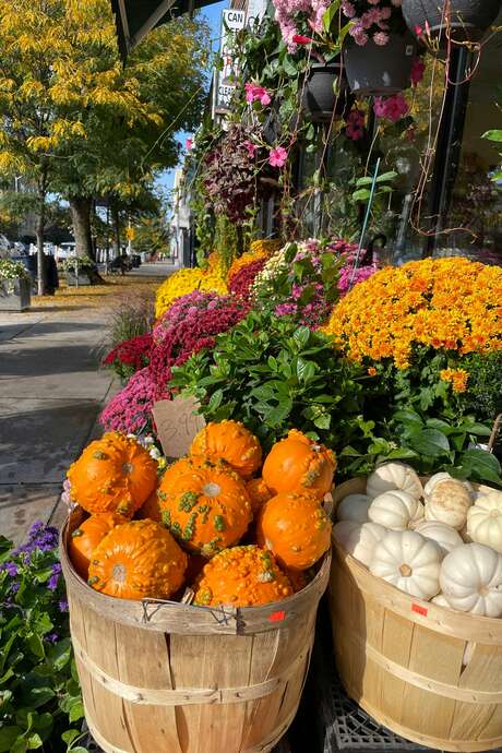 Fête de l'automne et du CAP