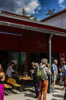Rendez-vous des curieux : Café rencontre Birds on a Wire