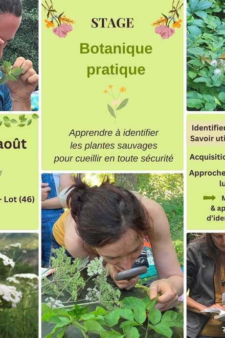 Stage : botanique pratique avec Caroline Calendula à Thémines