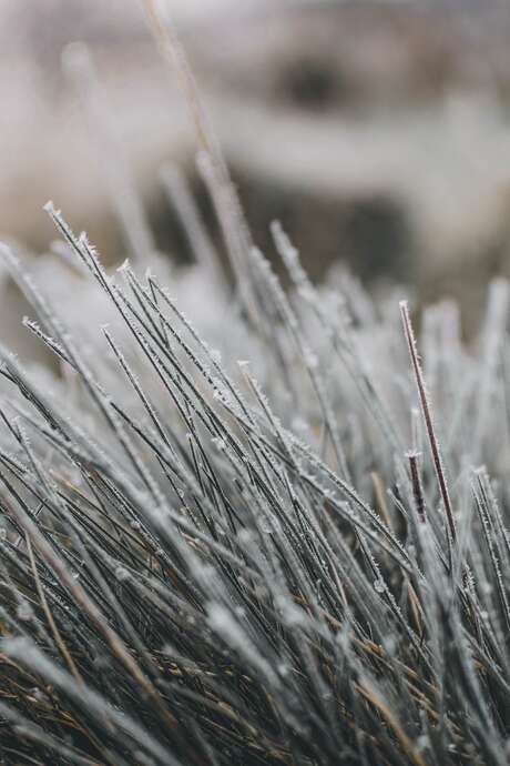 La nature en hiver, à la réserve départementale de biodiversité d'Argentat