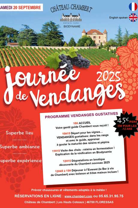 Journée des vendanges au Château de Chambert