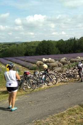 Les 46 km cyclo des lavandes