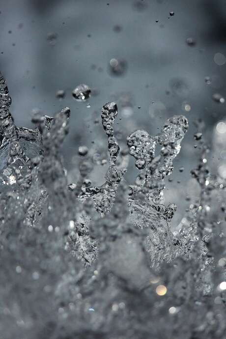 Atelier gestion et entretien des cours d'eau