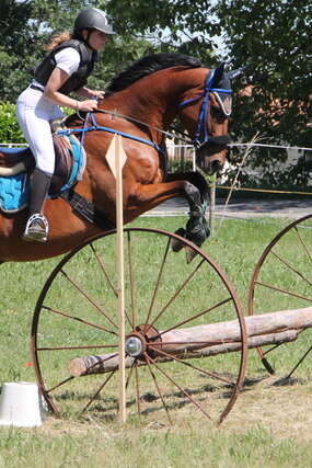 Challenge départemental Hunter du Lot