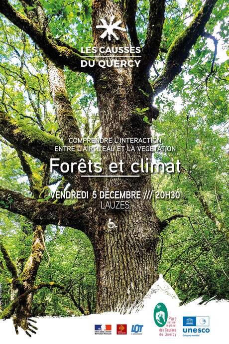Forets et climat : comprendre l'interaction entre l'air, l'eau et la végétation