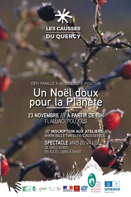 Un Noël doux pour la Planète