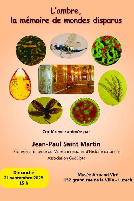 Conférence sur l'ambre, mémoire des mondes disparus par le paléontologue Jean-Paul SAINT MARTIN