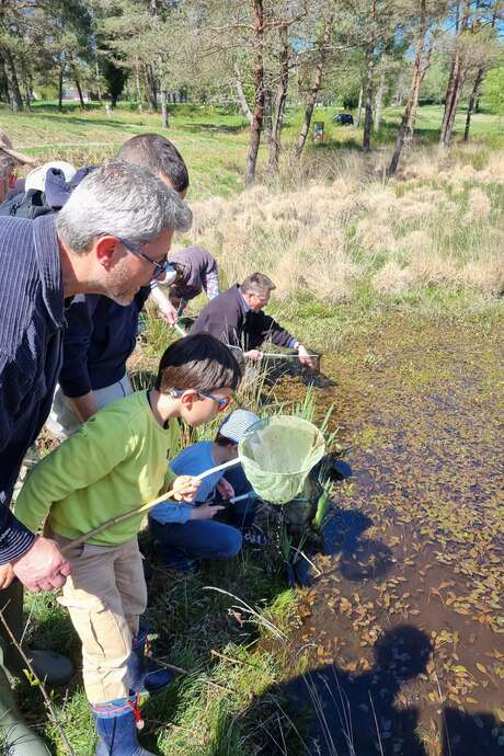 Ateliers-découverte : la petite faune aquatique de la Cère