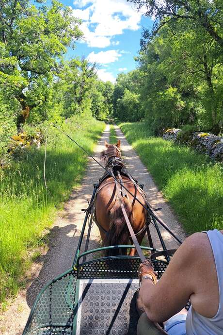 Challenge Kalapca Loisirs - balades en calèche