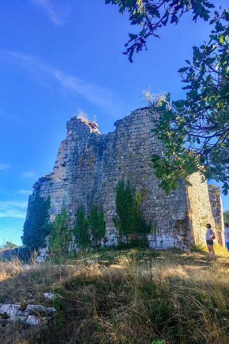 Visite nature - LPO et château de Taillefer avec le Pays d'art et d'histoire
