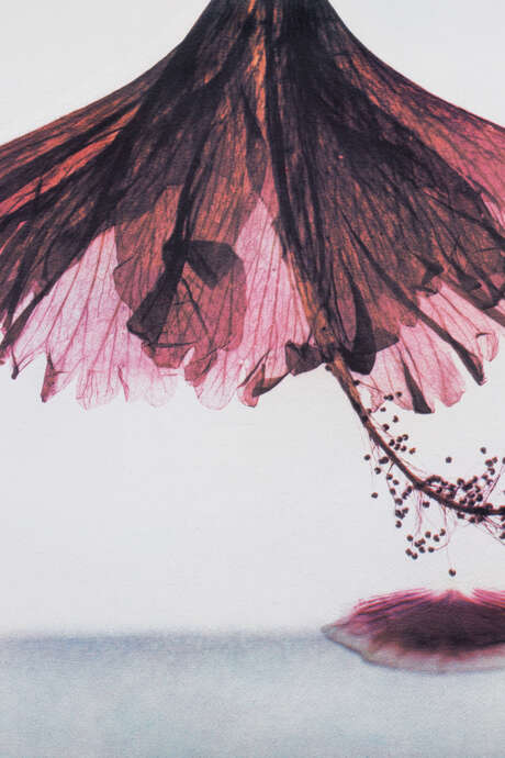 L'ANTIDOTE - Exposition "L'impermanence"