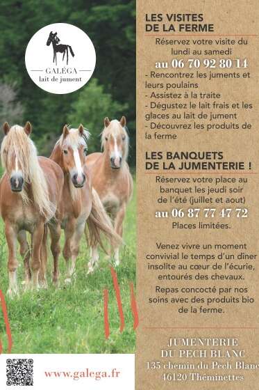 Les Banquets de l'été à la Jumenterie!